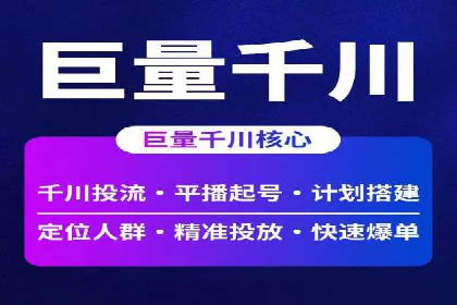 百度竞价广告的投放策略与成功案例分析